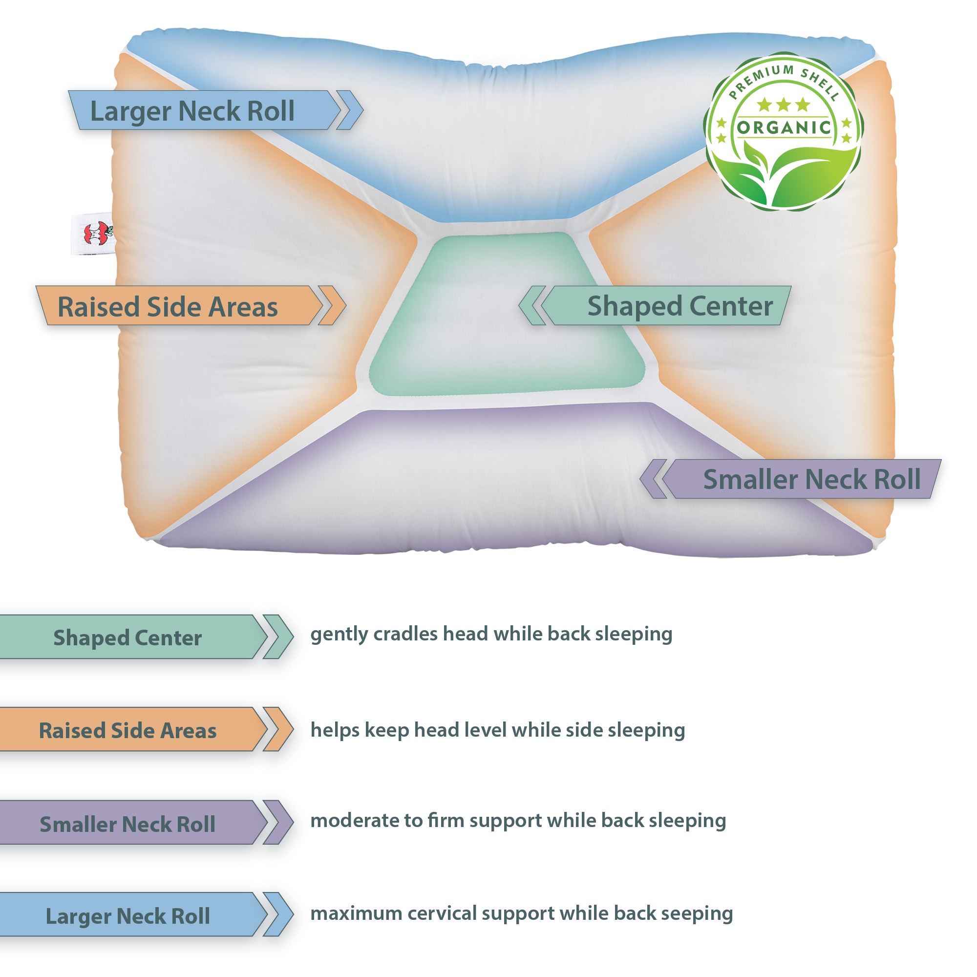 Tri-Core Natural Cervical Support Pillow with Premium Organic Cotton Shell