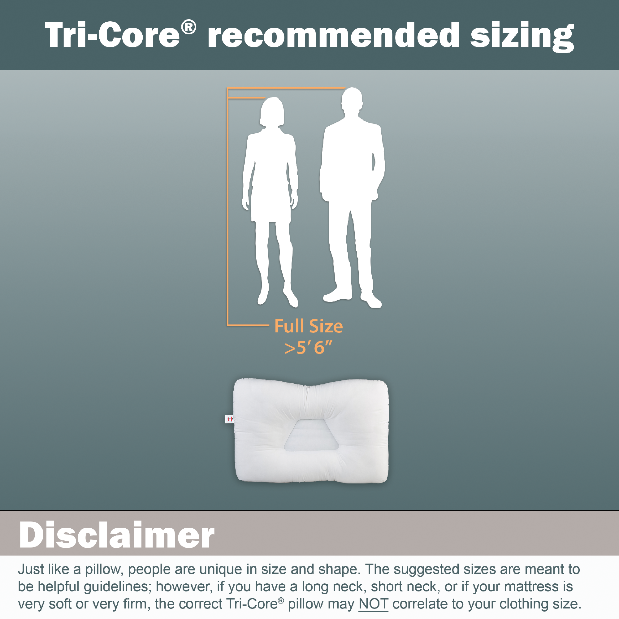 Tri-Core Natural Cervical Support Pillow with Premium Organic Cotton Shell